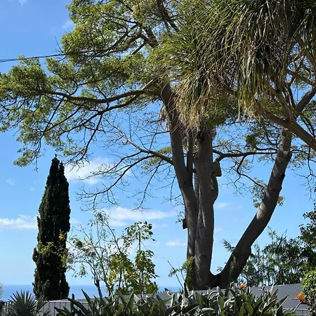 Casa Marguerite Gym And Hammam By Rentallido Semesterbostad
