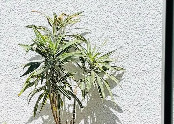 Casa Marguerite Gym And Hammam By Rentallido Prázdninový dům Caniço